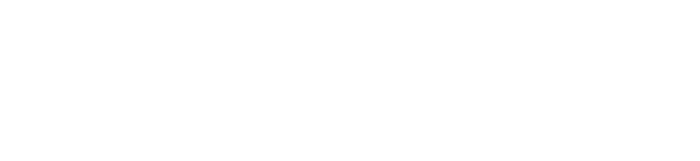 Cisco Academy